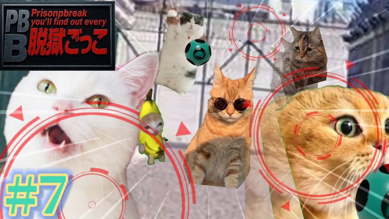 【猫ミーム】脱獄ごっこをすることになった猫たちの物語 第7話