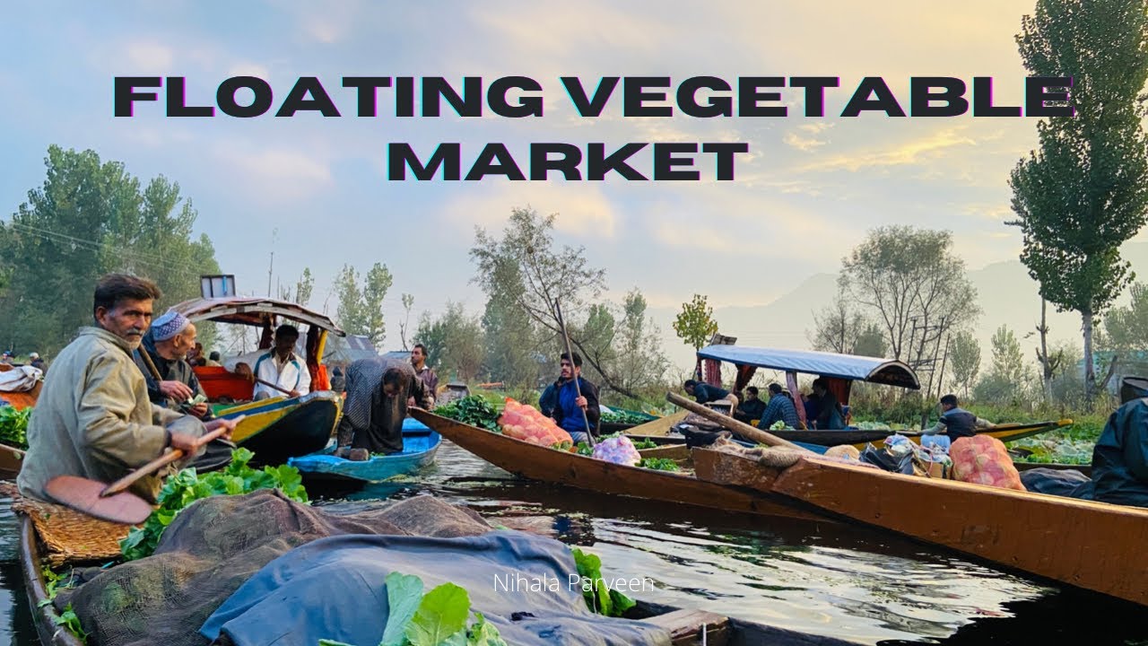 Floating Vegetable Market | Dal Lake | Kashmir | Kerala -Delhi -Kashmir | #winter  #travel #kashmir