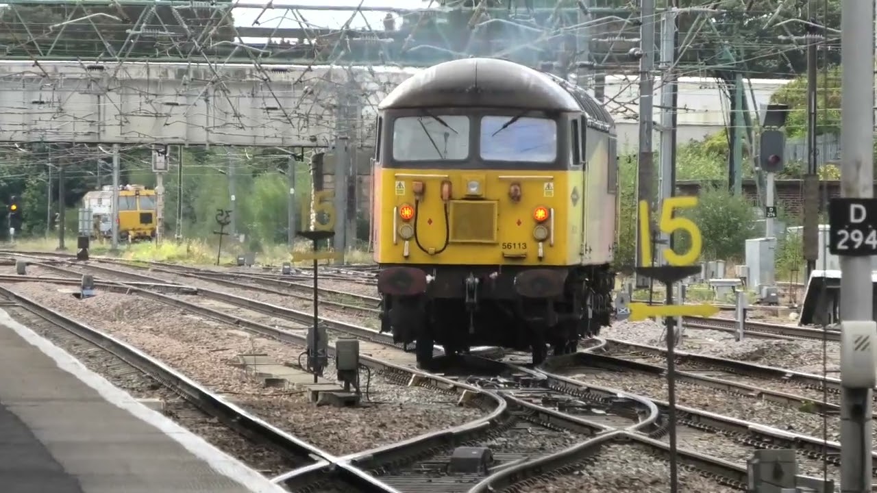 (Nearly) All of the diesel locomotive classes currently running on the UK network.