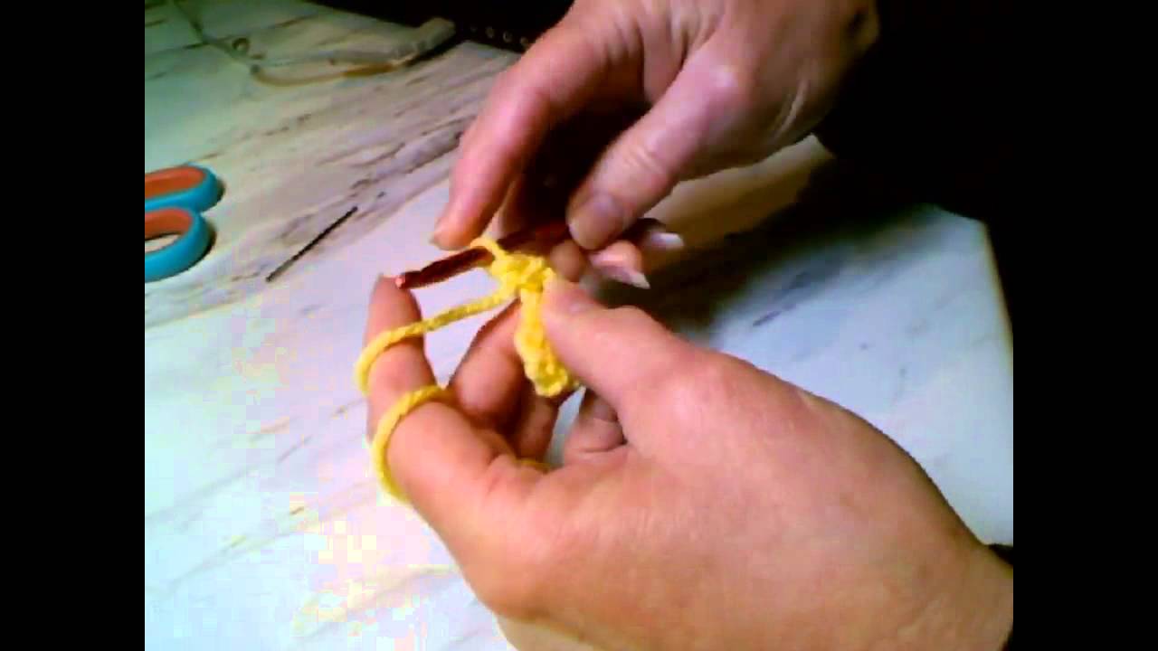 How to Crochet a 