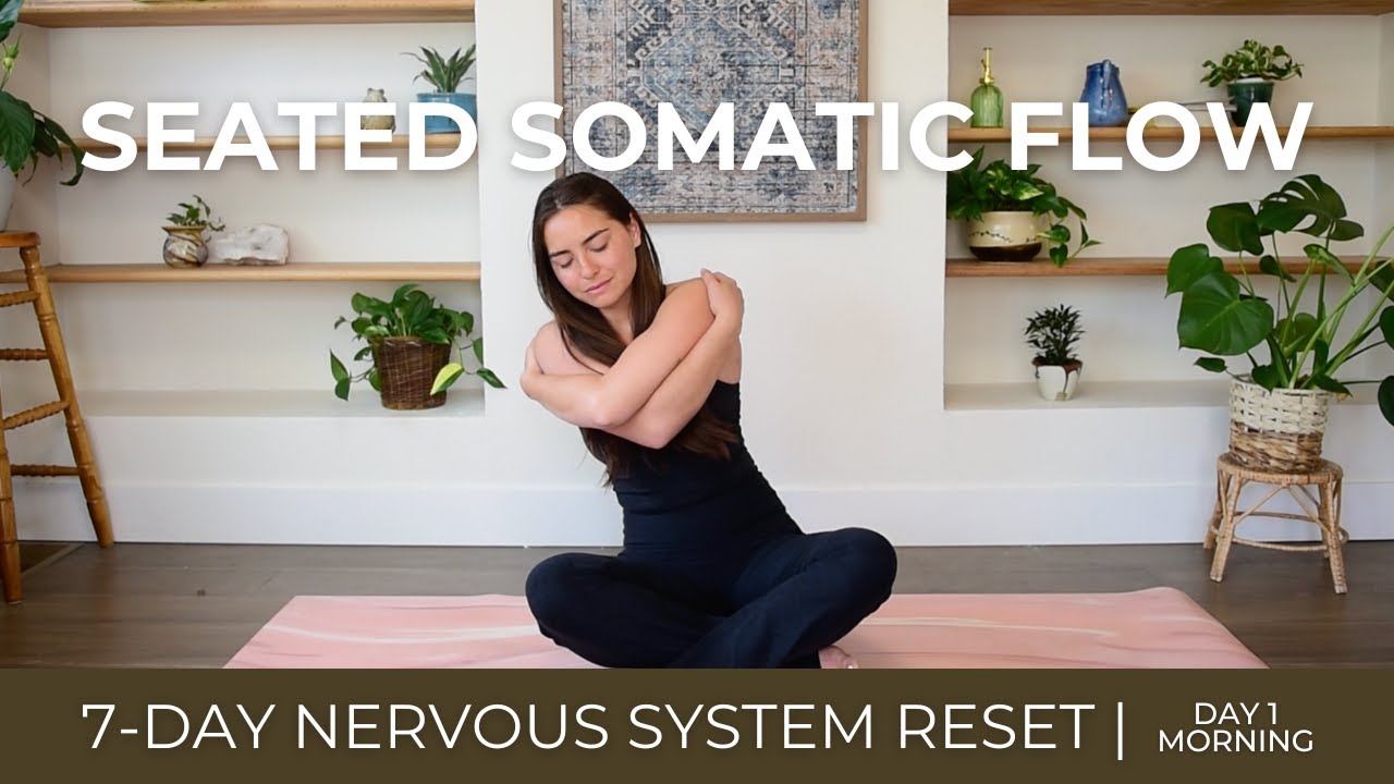Seated Somatic Flow | Nervous System Reset Day 1 - Morning