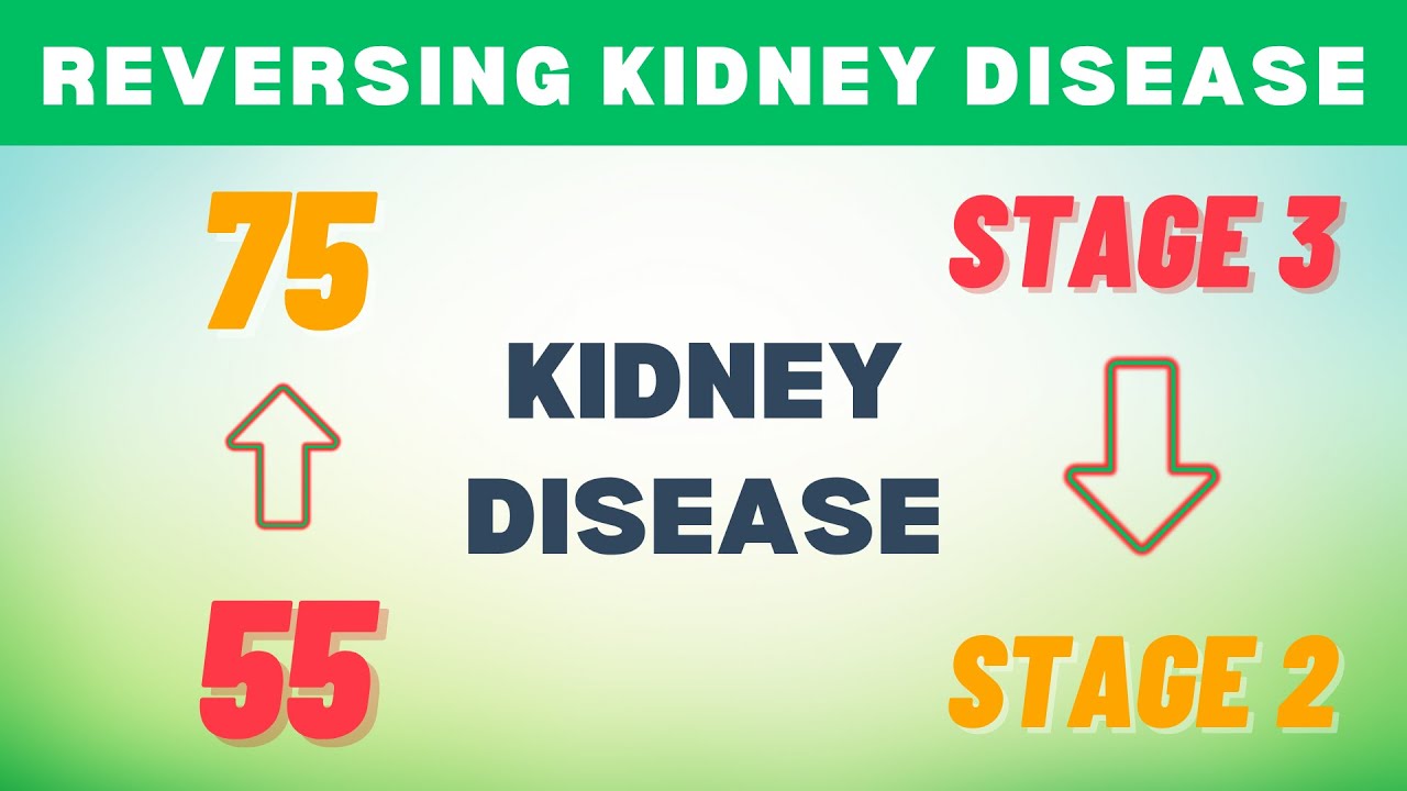 eGFR From 55 To 75: How Richard Reversed Stage 3 Kidney Disease?