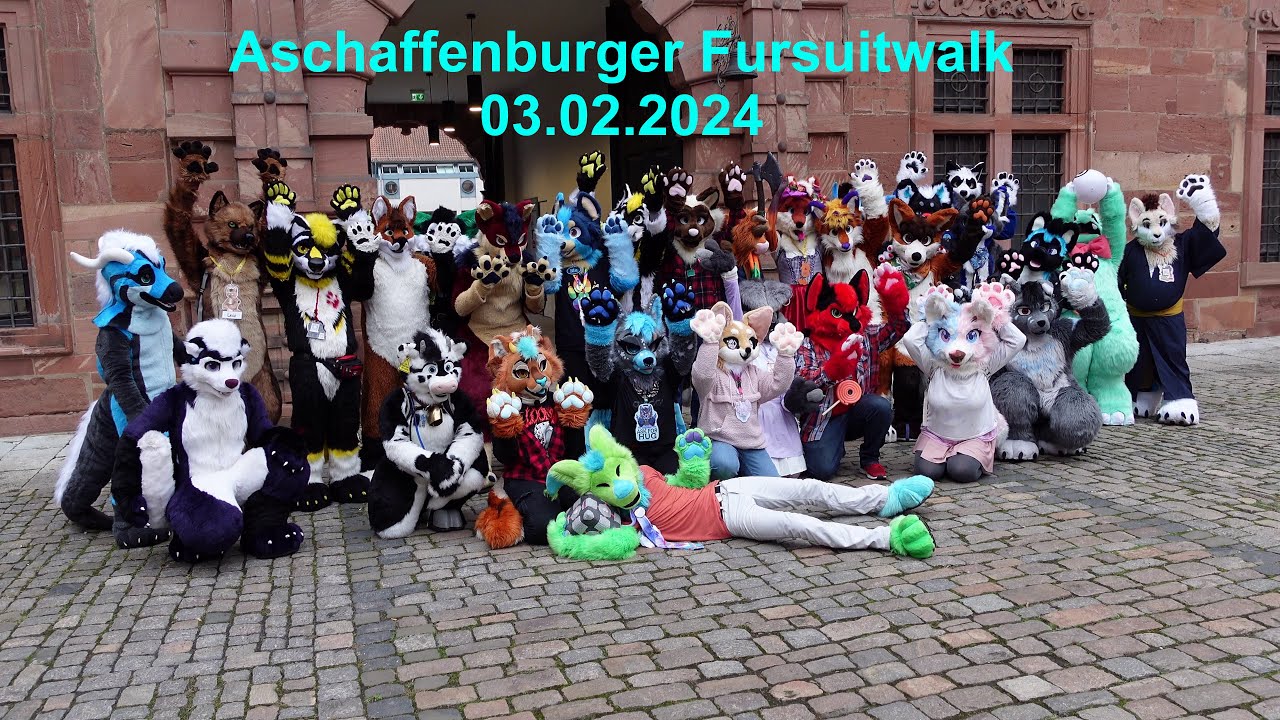 Fursuit Walk Aschaffenburg Germany 03.02.2024