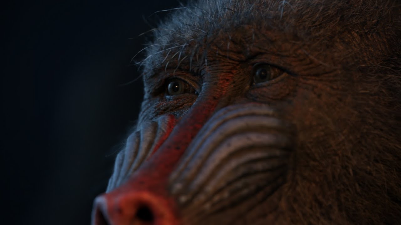 The Lion King 2019 - Rafiki's Fireflies I 4K Ultra HD