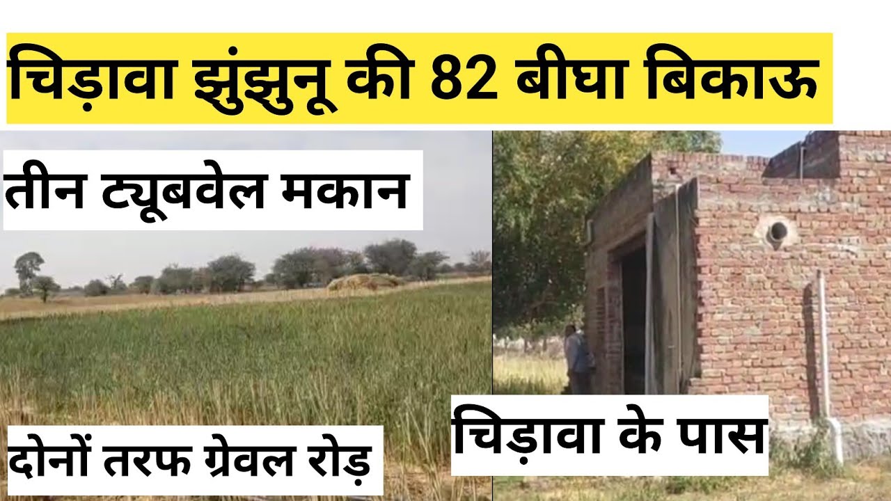 चिड़ावा तहसील जिला झुंझुनू की 82 बीघा जमीन बिकाऊ 3 ट्यूबवेल मकान दोनों तरफ ग्रेवल रोड ऊंचा वाटर लेवल