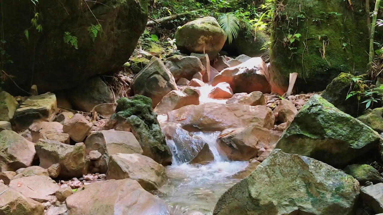 Pure Freshwater Stream with Comforting Atmosphere for Stress Relief, Self-Care & Inner Peace
