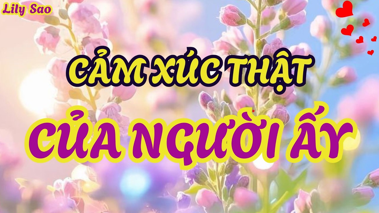 Tarot tình cảm | Cảm Xúc Của Người Ấy Khi Hai Bạn Đang Có Khoảng Cách
