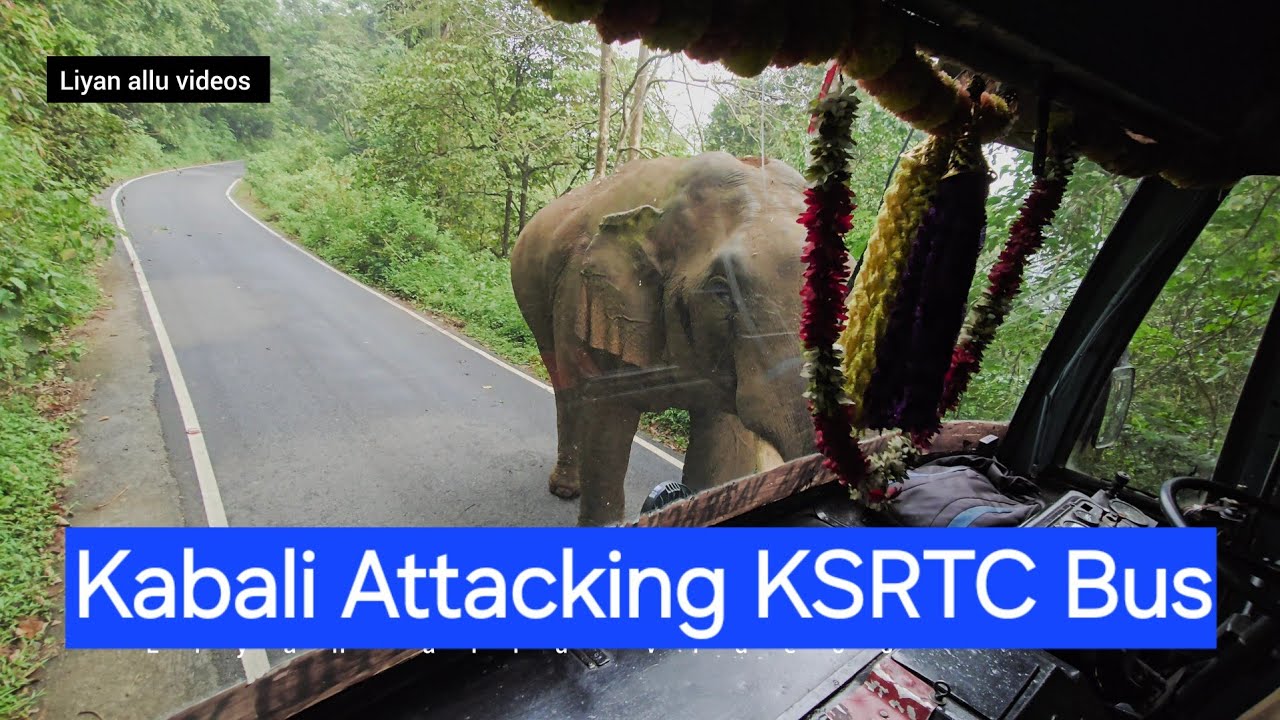Kabali Attacking KSRTC bus 