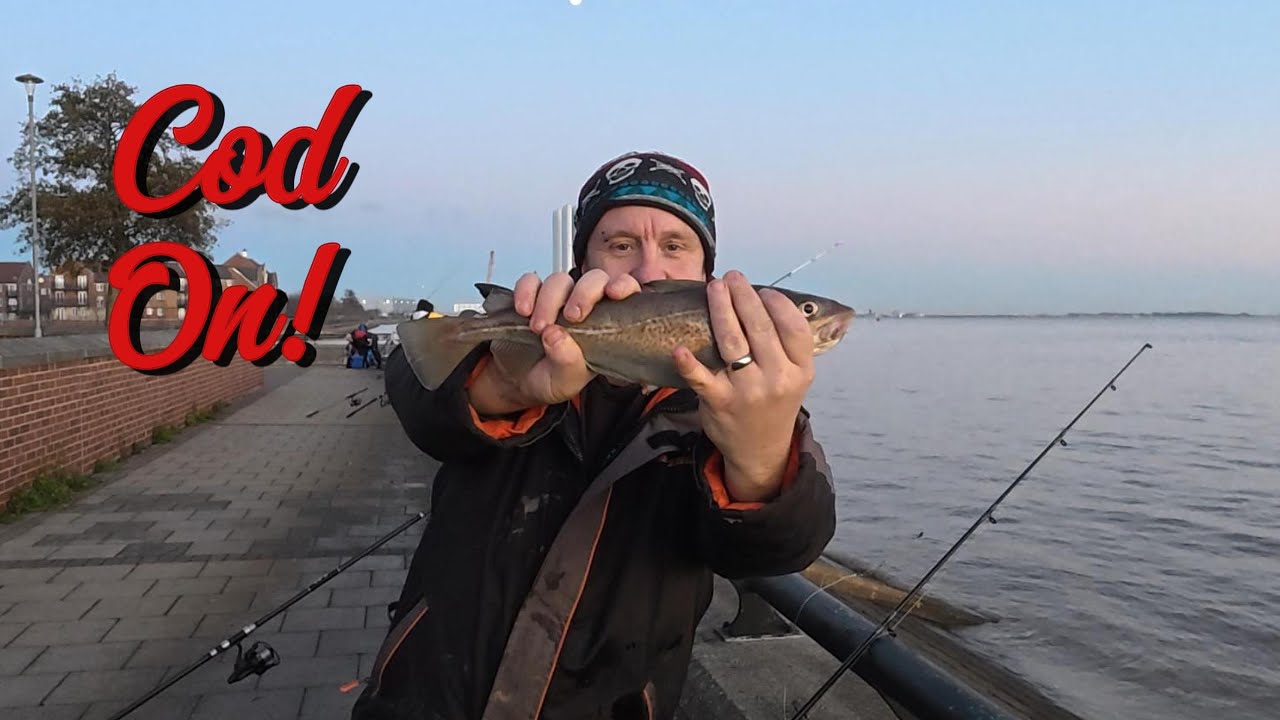 Треска на Хамбере — успех!!! Морская рыбалка в Великобритании
