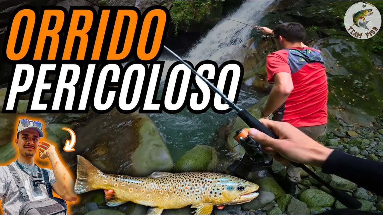 MOSTRI in un ORRIDO molto PERICOLOSO | Spinning alla trota in torrente