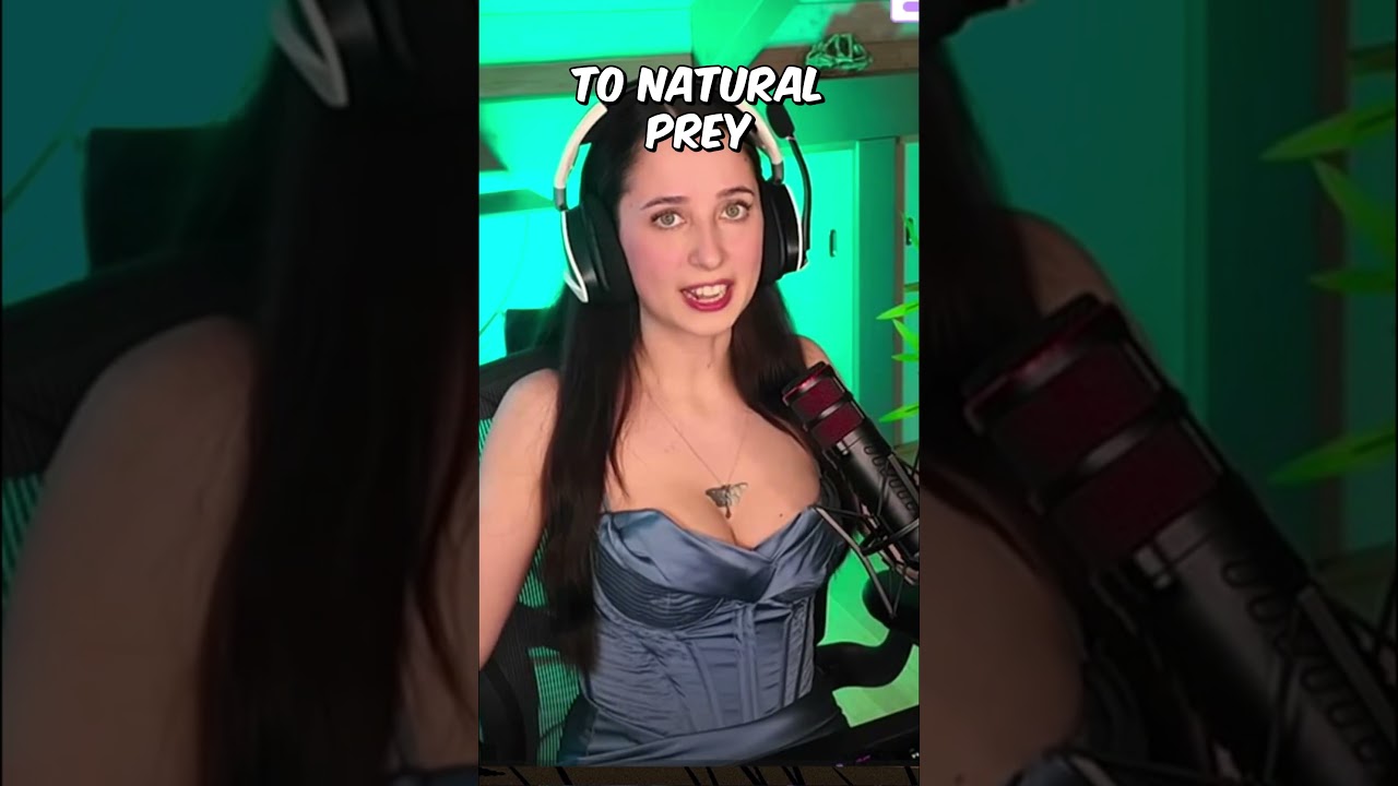 INVISIBLE PREDATORS? #twitch #egirl #invisible