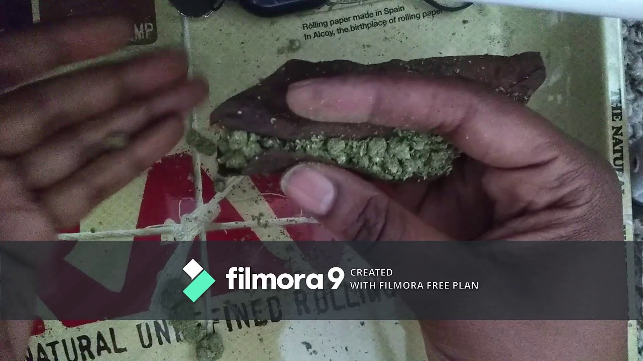 Stoner's Etiquette *HOW TO ROLL A LEAF*