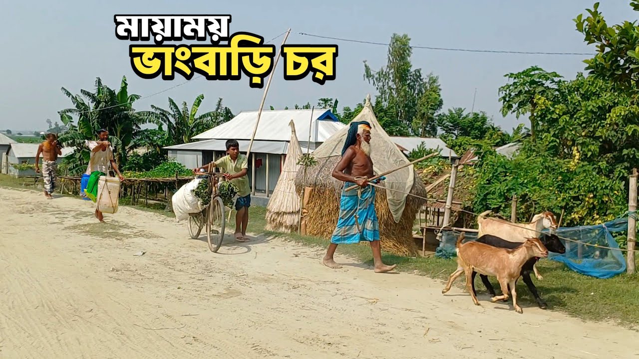 ছবির মত সুন্দর জনপদ ভাংবাড়ি চর | Rural Village Life Of Bangladesh 