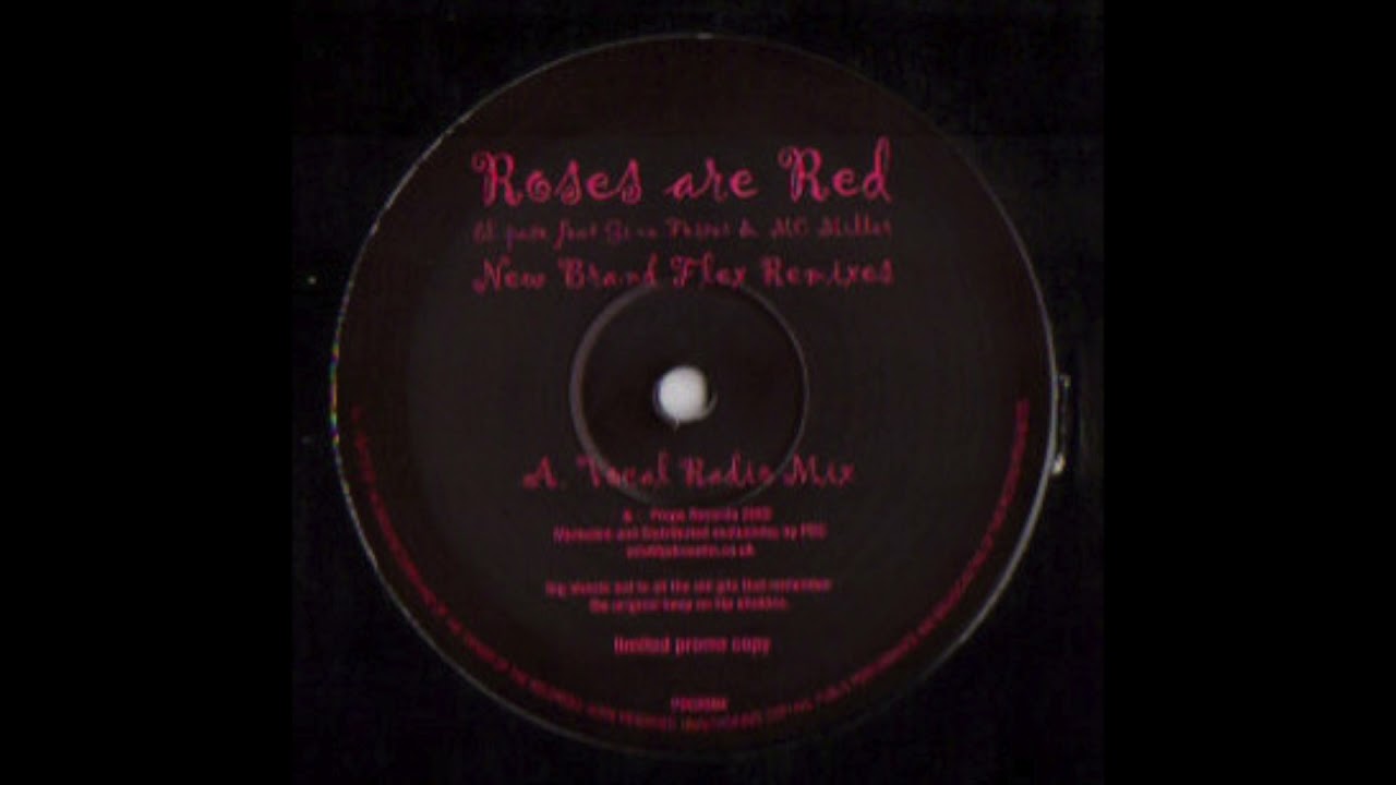 El Pase - Roses Are Red (New Brand Flex - Four to the Dub Remix)