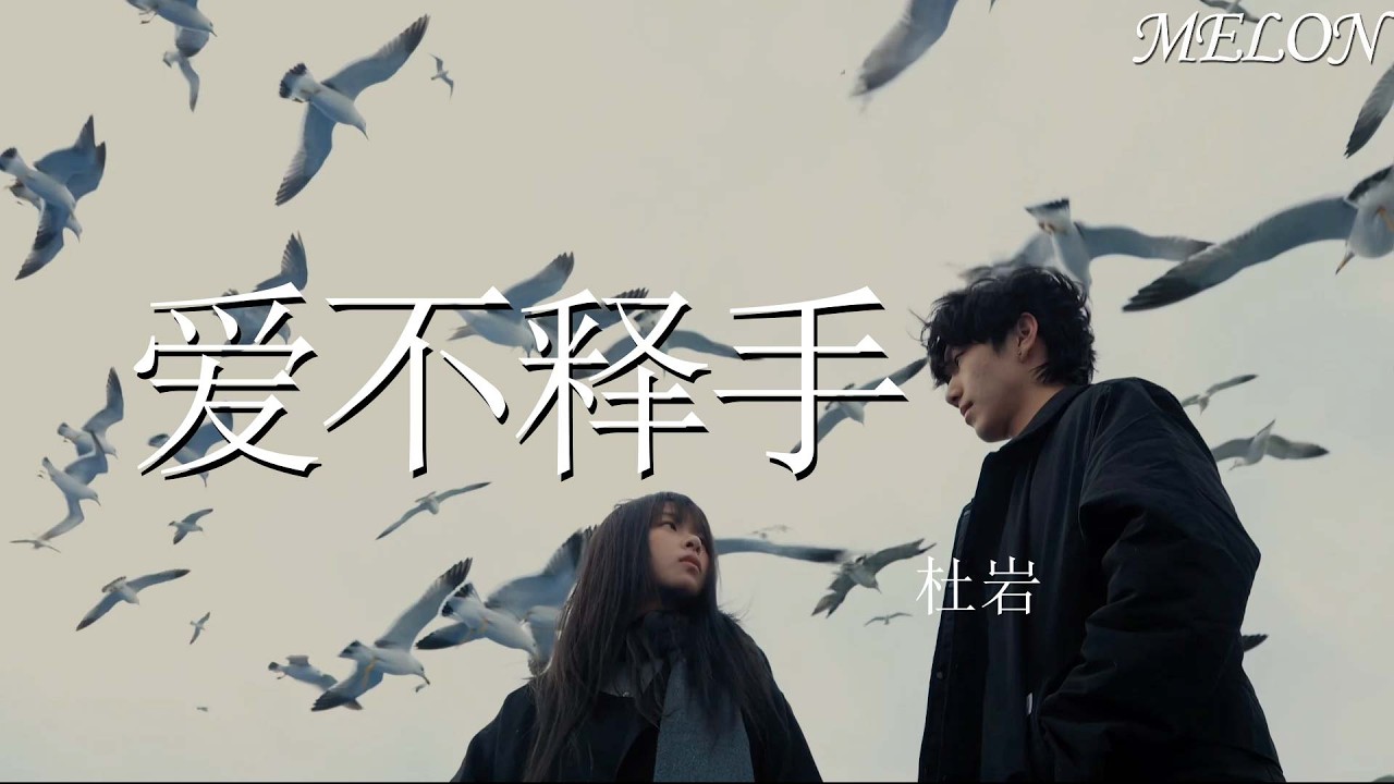 愛不釋手 - 杜岩 | ai bu shi shou - du yan