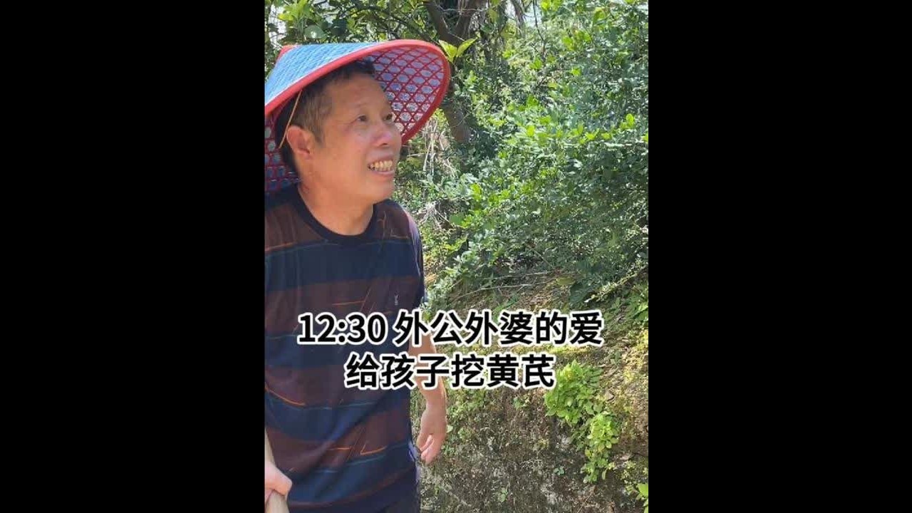 老爸为了两个孩子的身高，顶着烈日上山找黄芪， 孩子们要回来吃晚饭，爸妈为了孩子一回家能吃上，老爸连午饭都顾不上吃，就山上了，汗如雨下真的太辛苦了。有没有同款老爸，一直默默地为我们付出，而且不计较回报