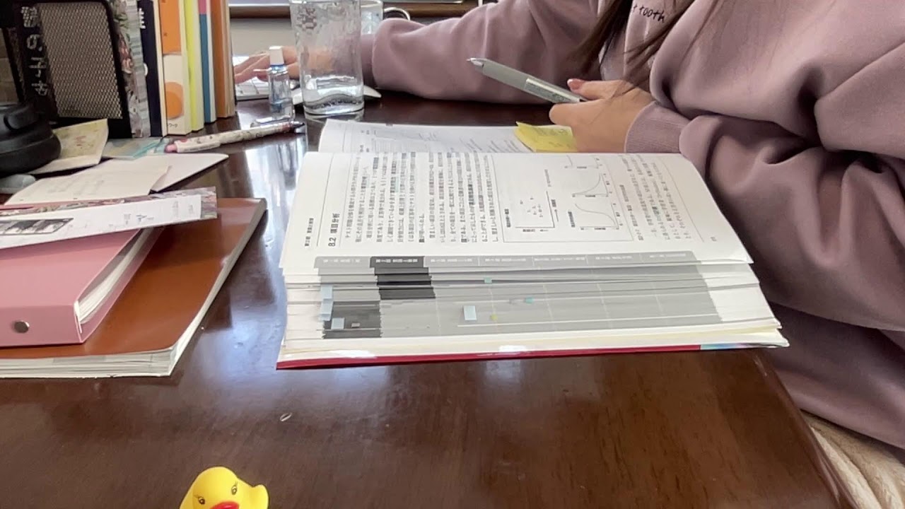 【勉強配信】Study with me〈3時間集中〉【第27回】