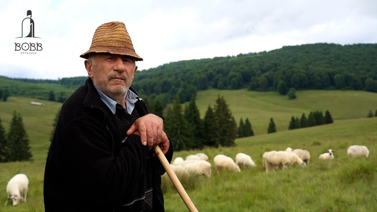 Stâna din Poiana Botu Calului a lui badea Opriș | Lupii au mâncat 3 câini ciobănești