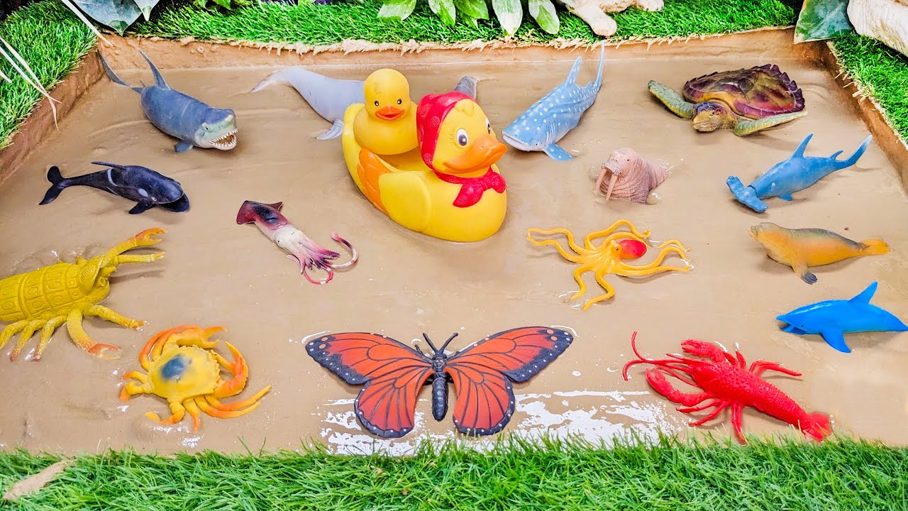 Muddy Sea Animals Stuck in Mud Cute Duck, Butterfly, Turtle, Octopus and Water Animals