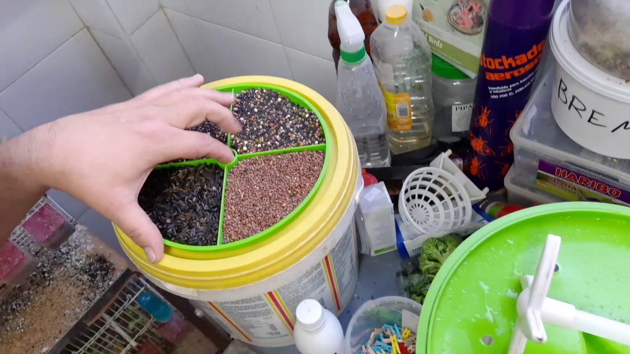Maquina germinado