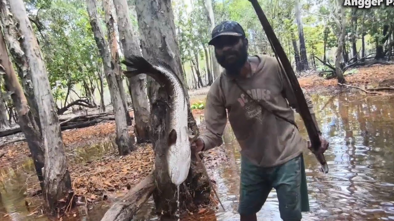 Berburu ikan gabus pakai panah || Rawa Merauke, dimana ada air disitu ada ikan. 