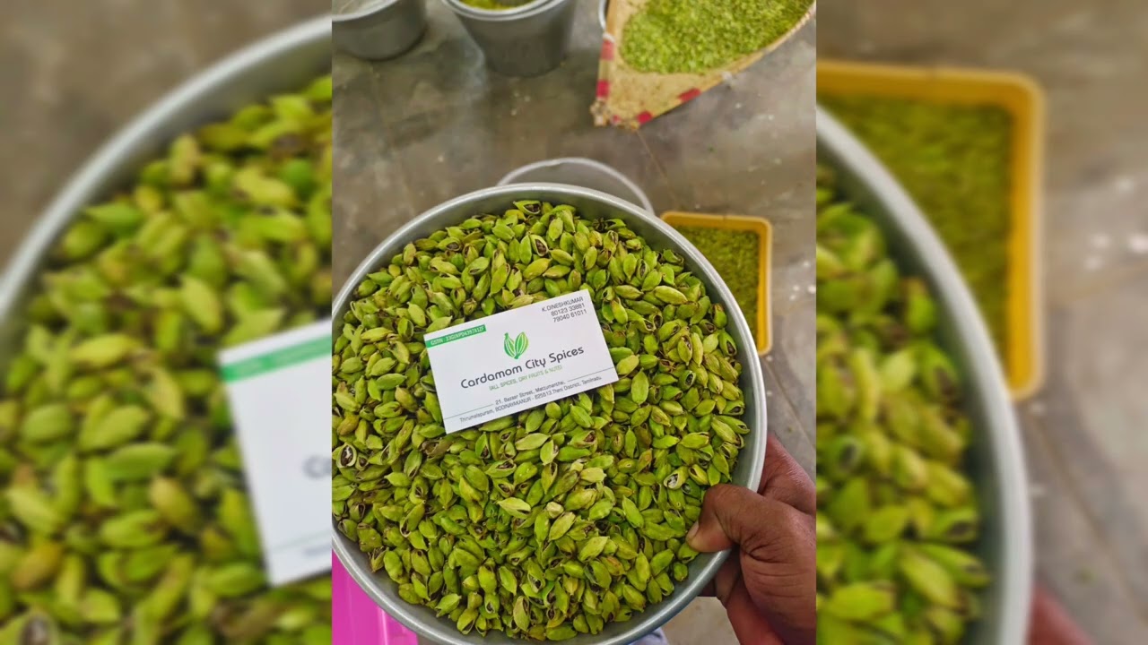 CARDAMOM TODAY PRICE 18/6/2025 #cardamomcityspices#ஏலக்காய்#इलायची#elachiSPICES BOARD LIVE E-AUCTION