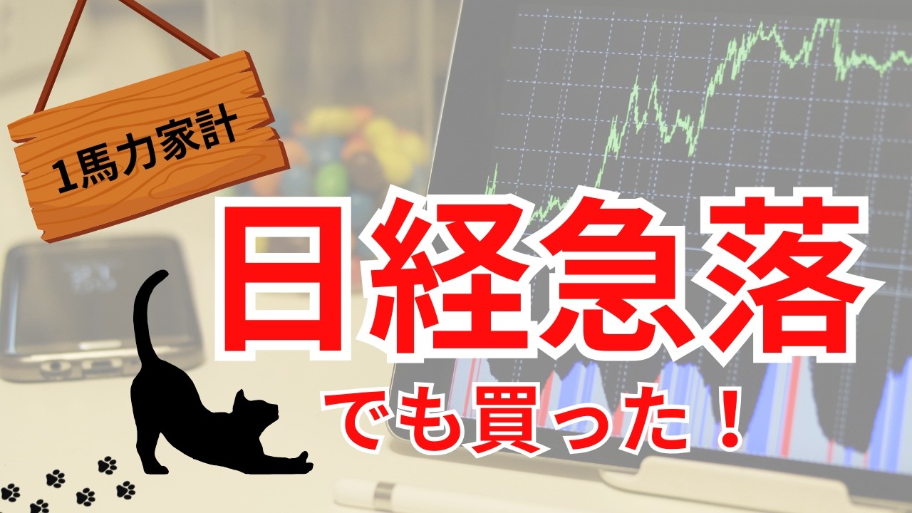 【日経急落】イラン情勢で暴落…パニック売りせず「計画通り」買い増ししました。