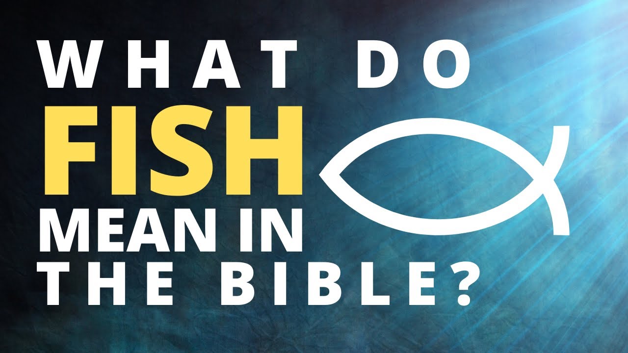What do fish mean in the Bible? | Short Bible Study