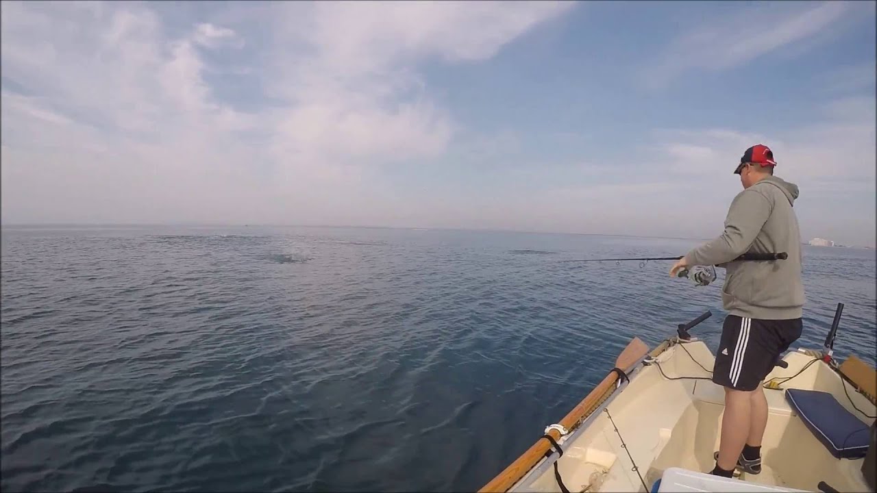 Topwater Action im Mittelmeer