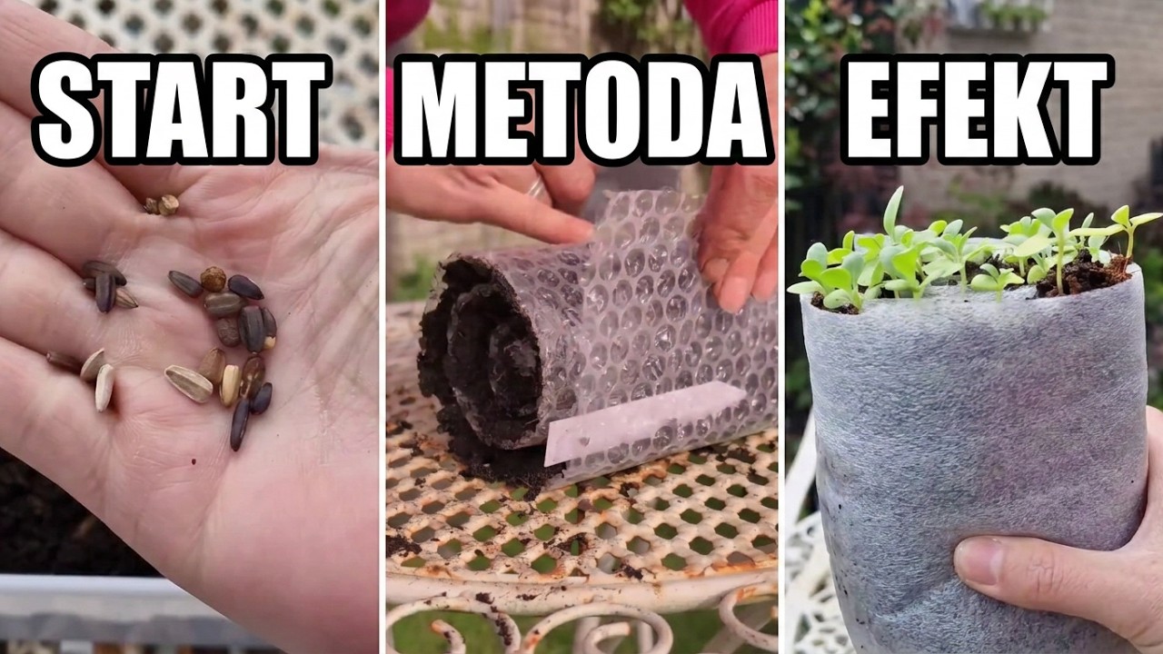 Seed Snail – sposób na wysiew, gdy masz mało miejsca🌿