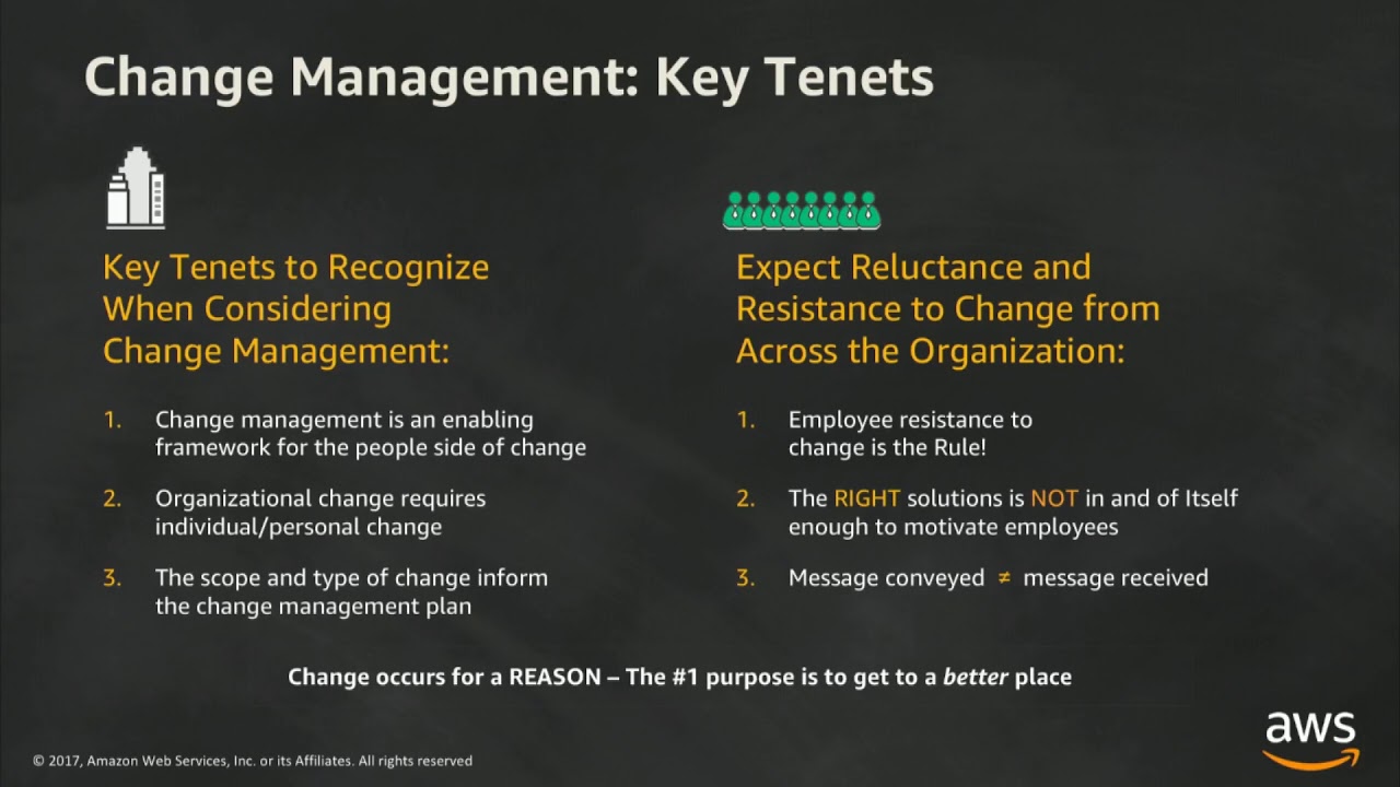 DevSecOps, An Organizational Primer