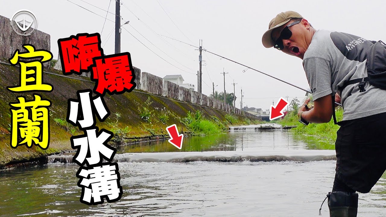 炸翻天！泰妹把起來！宜蘭不起眼的圳溝，輕鬆收集4種魚！#鵝大人 #路亞 #排水溝