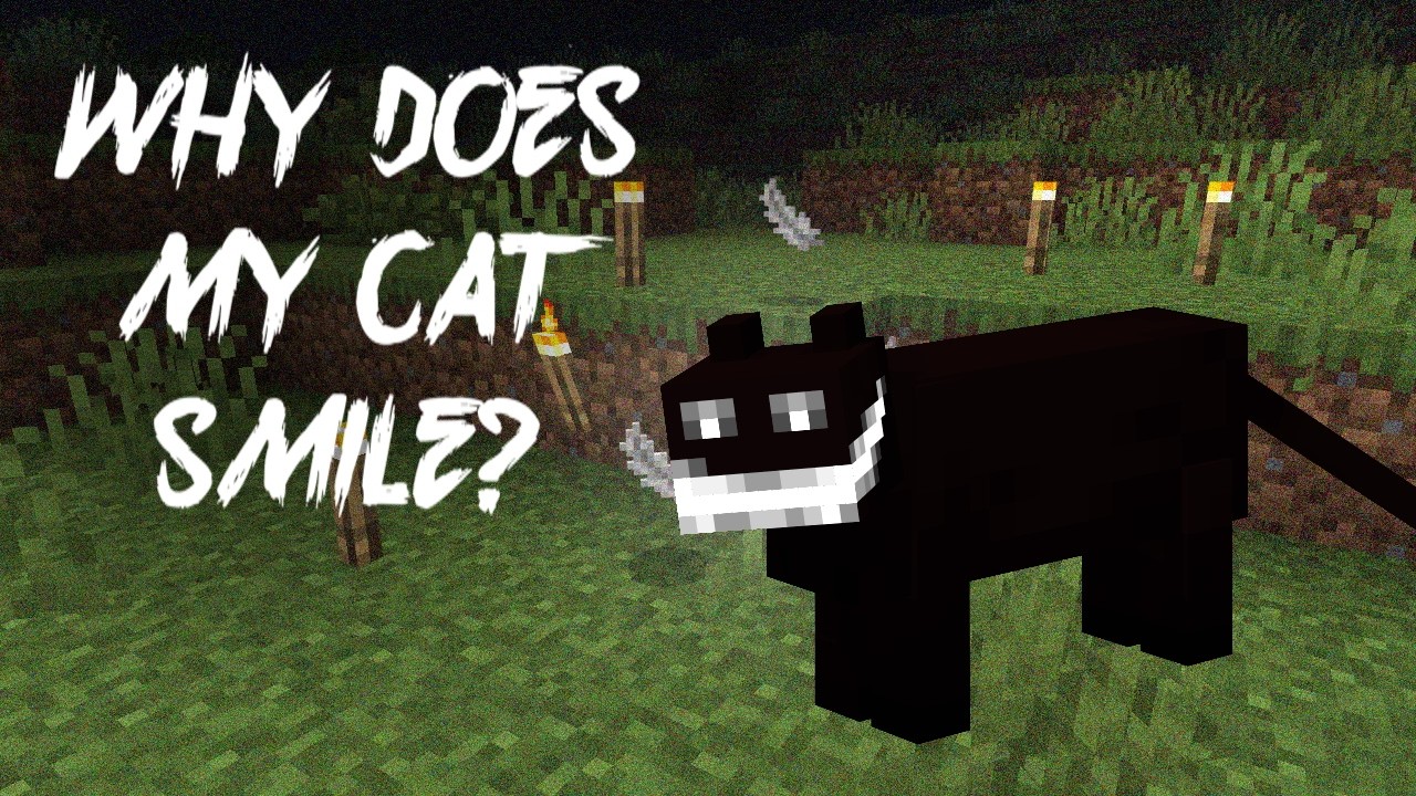Why Does My Cat Smile? | Minecraft Creepypasta Bedrock (Uncut)