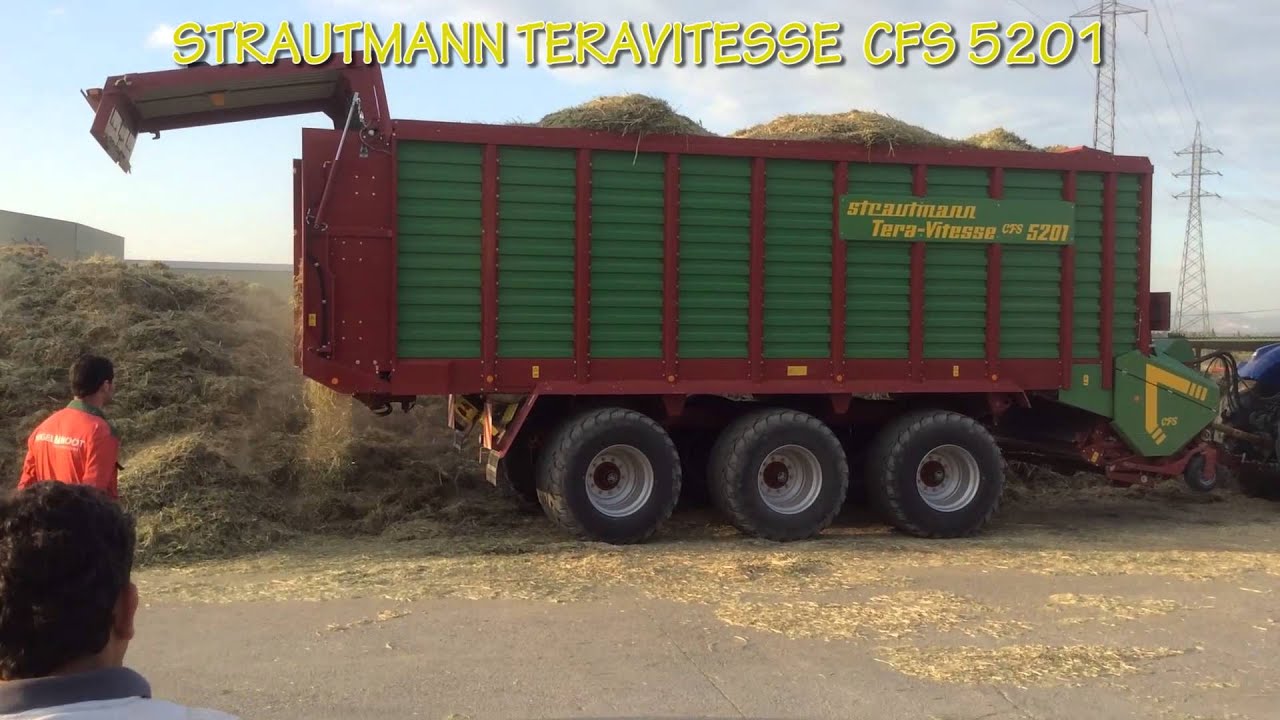 DEMOSTRACIONES STRAUTMANN