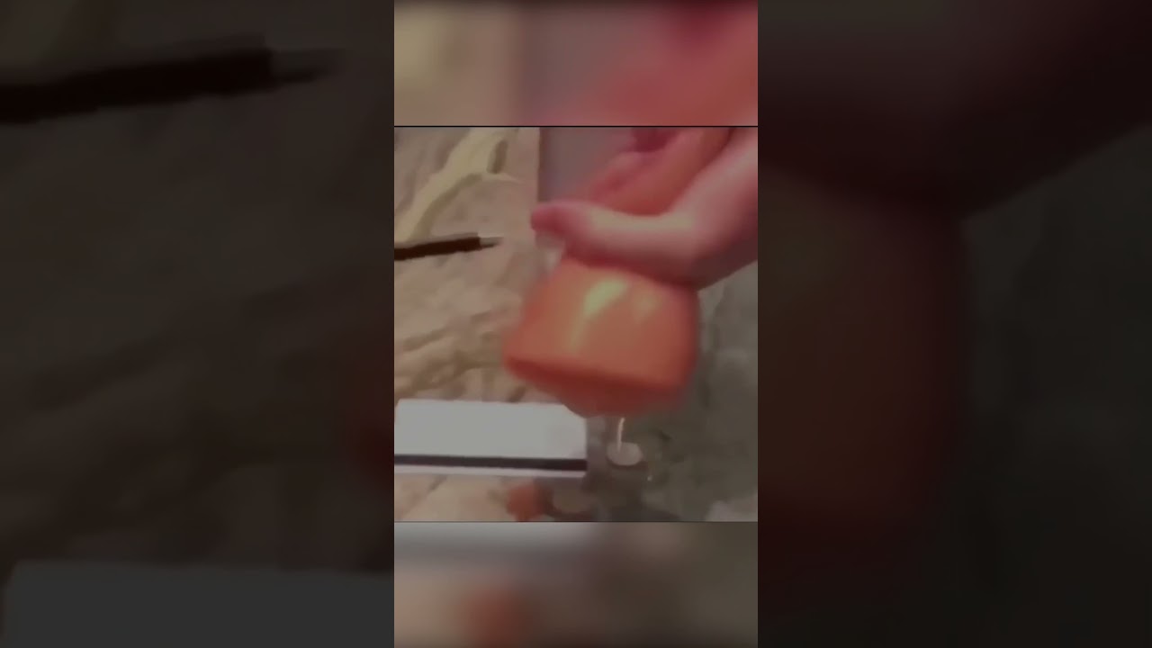 Pocket Pussy
