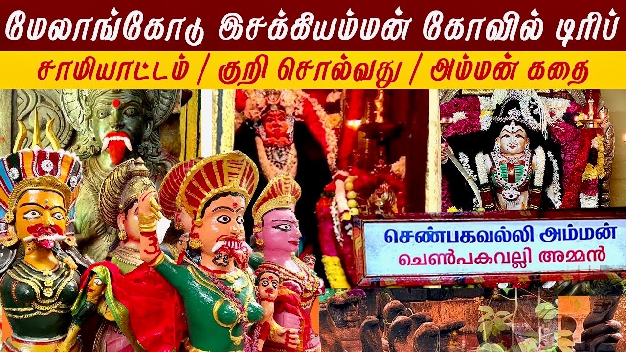 குமாரகோவில் மேலாங்கோடு இசக்கியம்மன் கோவில் டிரிப் | சாமியாட்டம், குறி சொல்வது | 8வது சிவன் கோவில்