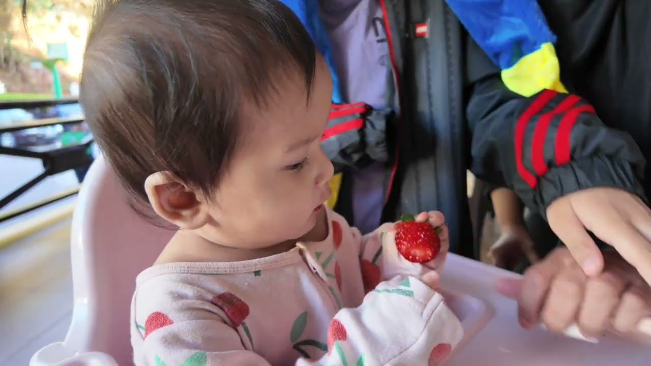 Cameron Highlands | Zara Strawberry