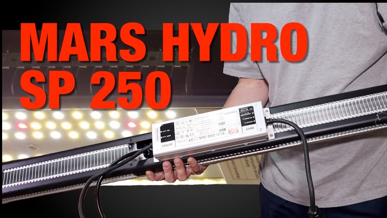 Обзор светодиодного светильника для выращивания растений Mars Hydro SP 250