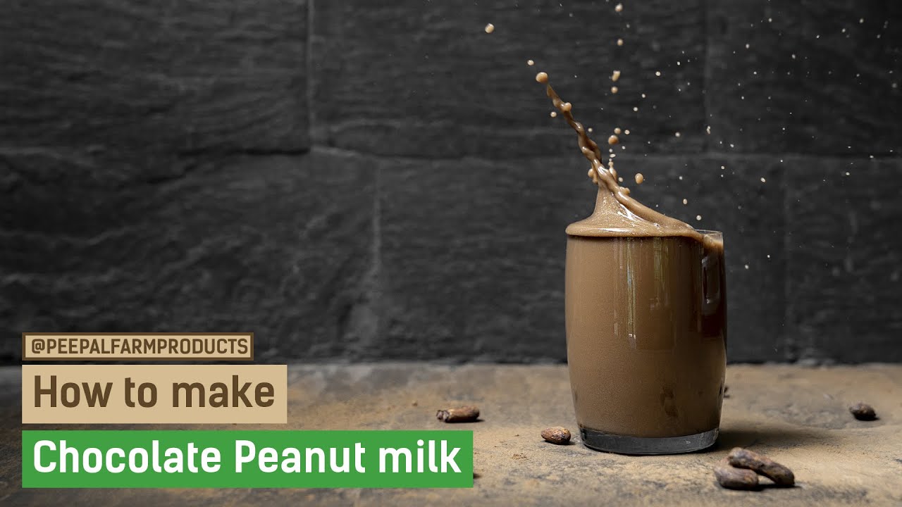 Make Chocolate Peanut Milk in less than 60 seconds! || Homemade Peanut Milk