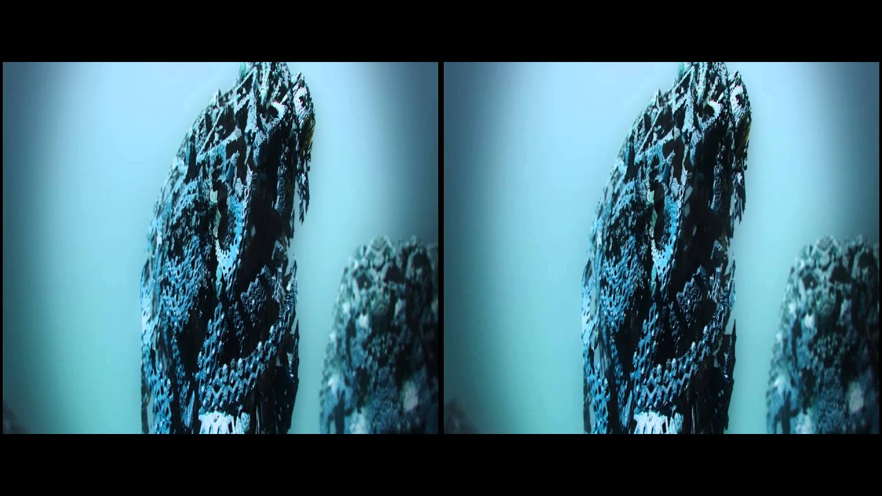 Stereoscopic 3D Fractal: Embryonic Development