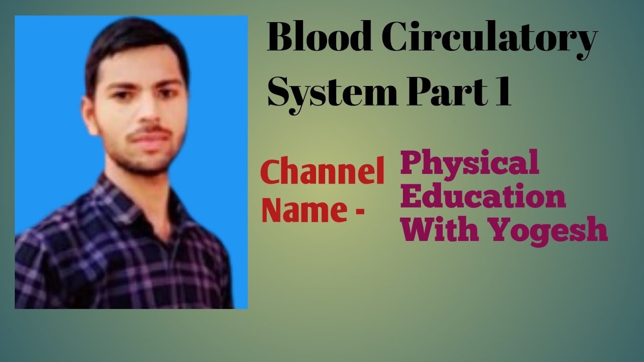 Blood Circulatory System Part 1