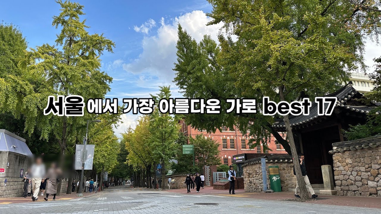 🎈가장 아름다운 1호 산책길!  인근 직장인이 알려주는 꿀팁 알고 떠나요