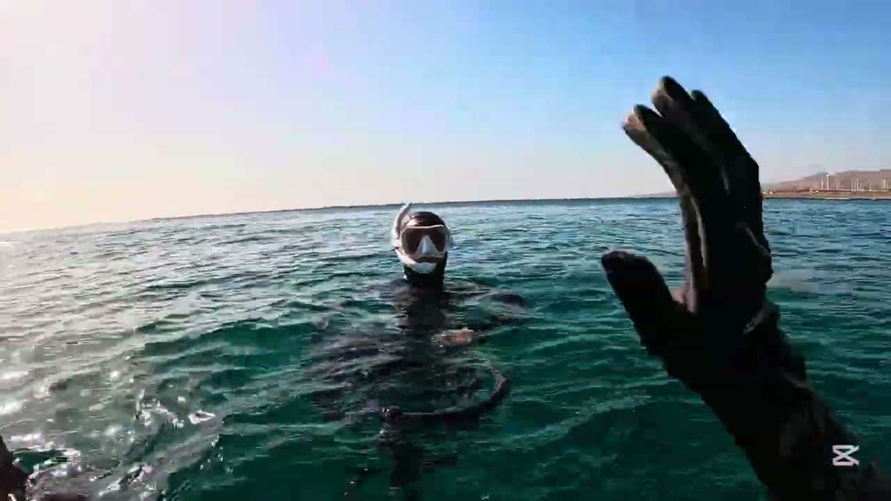 🔱 Pesca SUBMARINA en Gran Canaria - NIVEL: Principiante 🦈