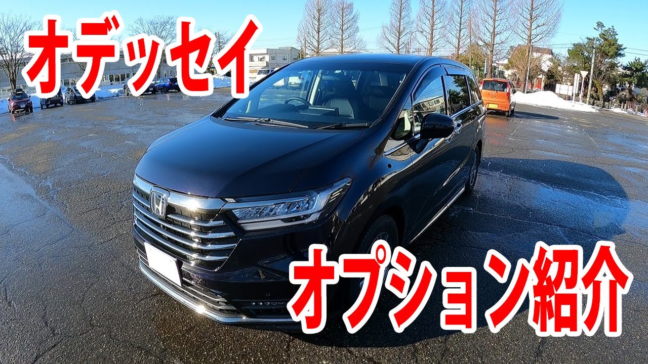 【Vlog】これが私のオデッセイです【#33】