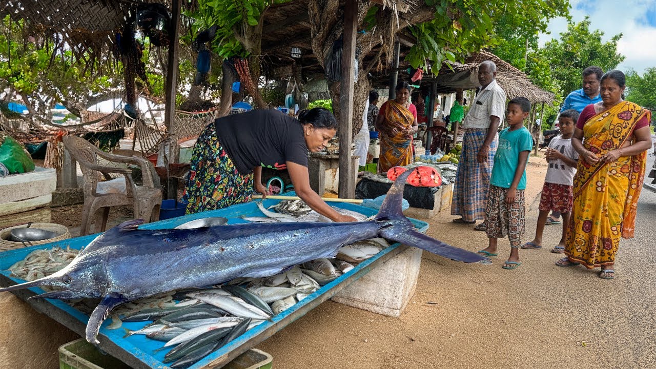 BEST! A Day in Sri Lanka’s Tuna Fish Market Where Every Cut Decides the Day
