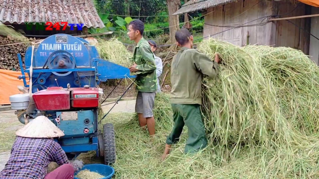 M&aacute;y tuốt l&uacute;a li&ecirc;n ho&agrave;n kiểu 2200 - VN247TV
