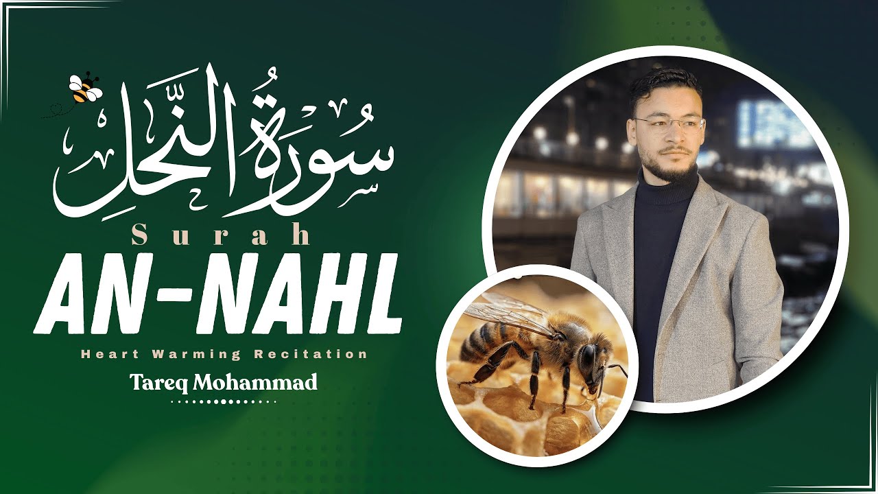 سورة النحل كاملة | تلاوة هادئة تريح القلب وتزيل الهموم | القارئ طارق محمد
