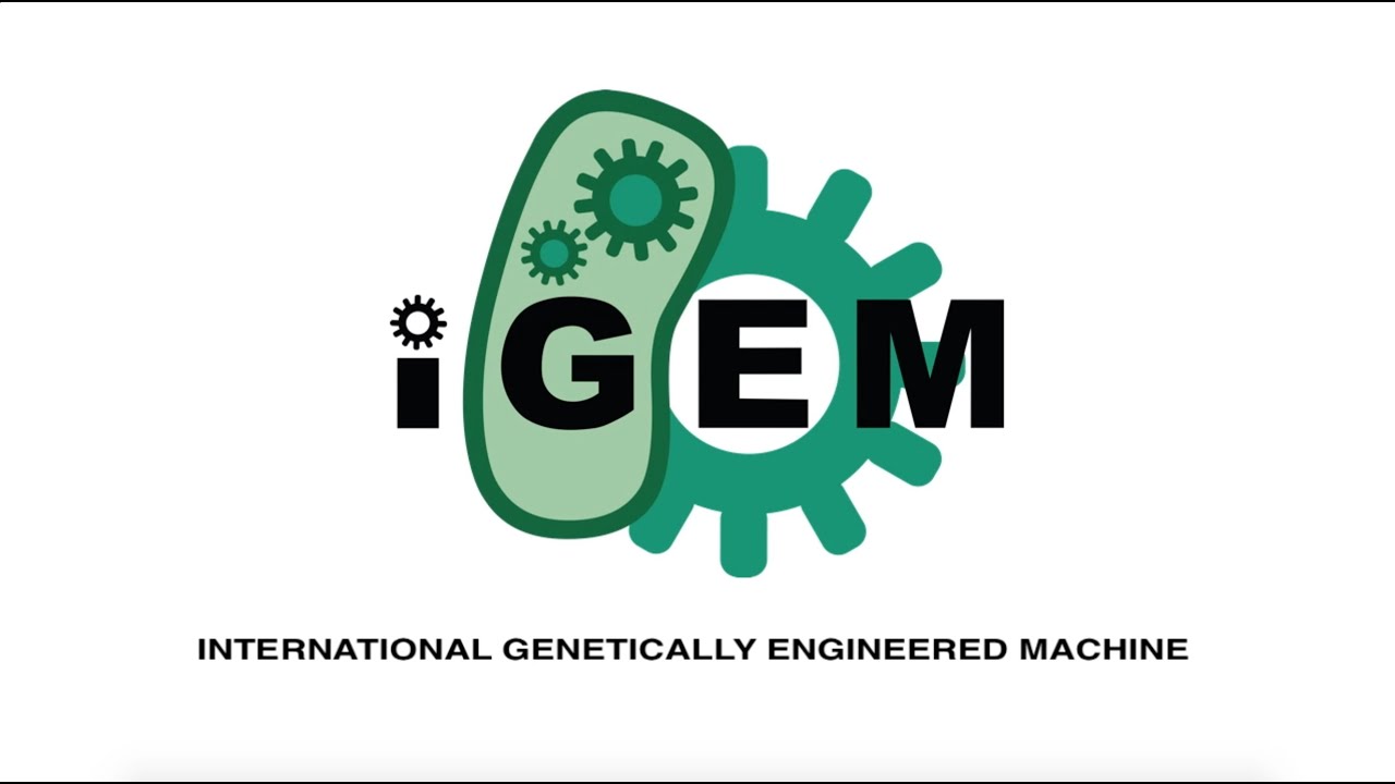 What is iGEM?