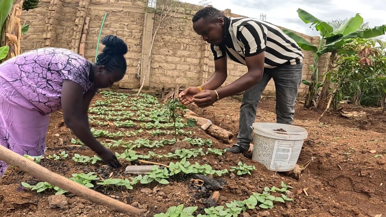 Simple Village Life🍃|Planting Fresh Vegetables +Landscaping Our Home&Cooking African Meal