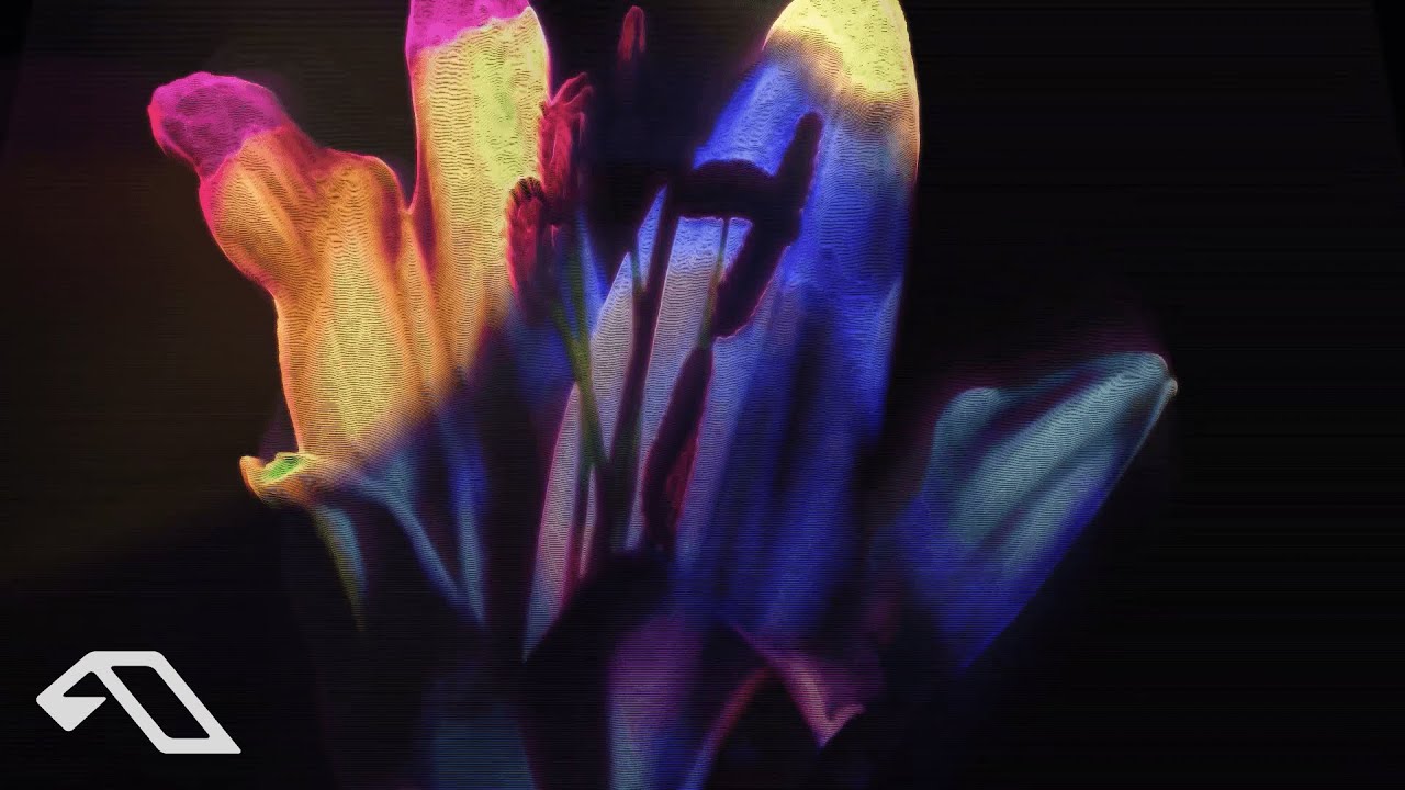 Rodriguez Jr. - Phoenix (Official Music Video)